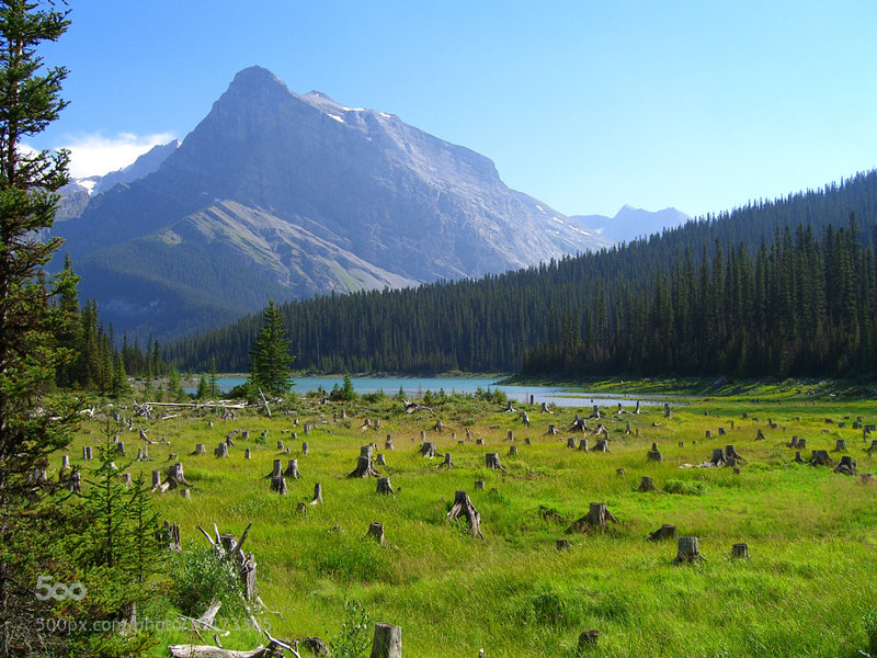 Incredible views abound at Peter Lougheed Provincial Park!