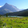 Incredible views abound at Peter Lougheed Provincial Park!