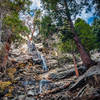 Vivian Falls - Forest Falls, CA, USA