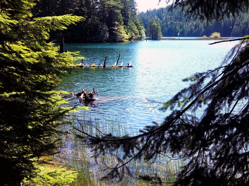 An Island Lake