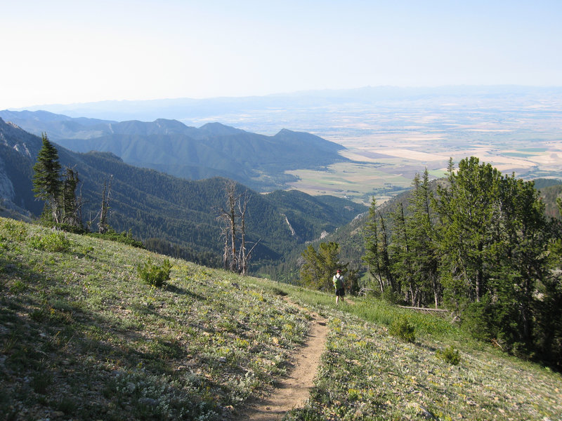 Descending off the ridge briefly.