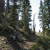 Junction where the Ridge Trail leaves the National Rec trail up and into the high country.