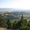 Above the "M" Trail descending off the Bridger Ridge.