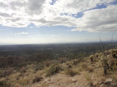 View from part way up the Agua Caliente Hill Trail towards Tucson.