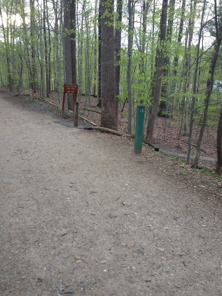 Intersection of Accotink Trail and Accotink Access Trail