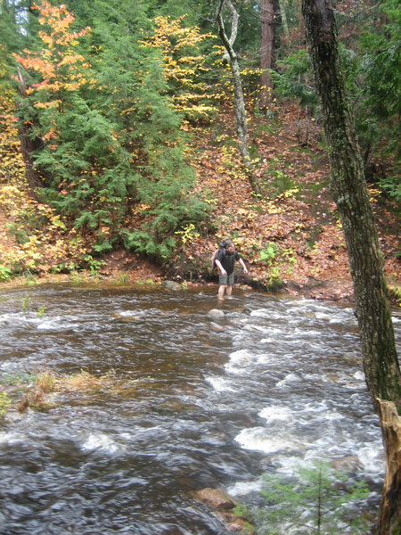 Stream crossing  on the Carp River Trail
