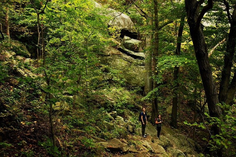 On the west side of Breakneck Ridge on the Breakneck Bypass Trail