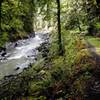 Old Robe Canyon Trail by river