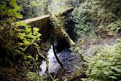 Bridge crossing on the Old Robe Canyon Trail