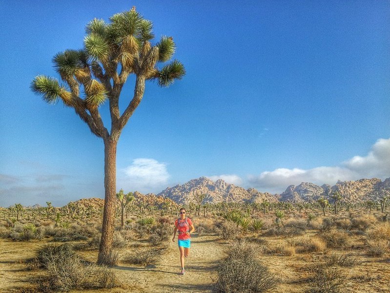 Returning from an out and back on the Boy Scout Trail