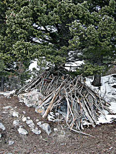 Stick fort on Drinking Horse Mountain.