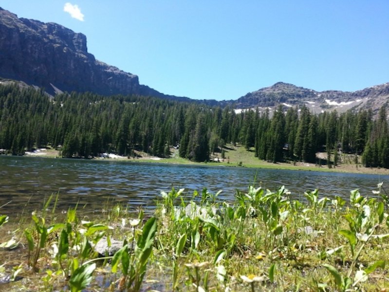 Emerald Lake