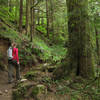 Hiker on Lake 22 Trail