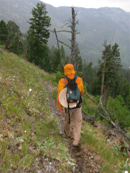 Bridger Foothills Trail