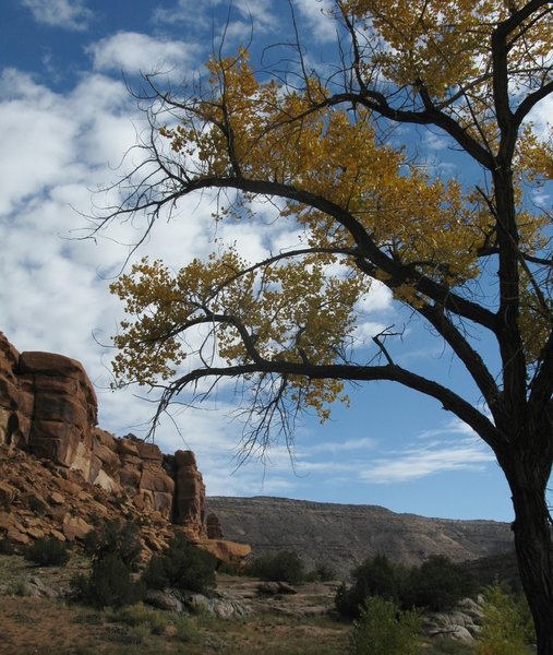 Red cliffs, blue sky and beautiful fall colors.