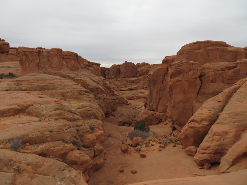 One of the many canyon views along the way.