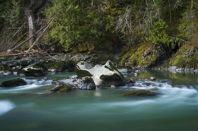 Rapids turning the corner