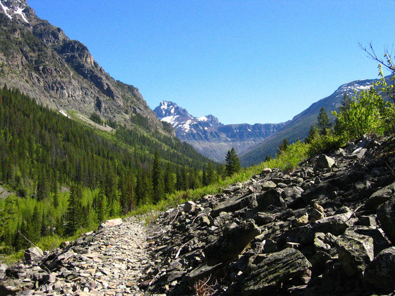 Looking off toward Two Medicine Pass from the Park Creek Trail.