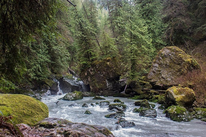 Rapids along the Boulder River Trail