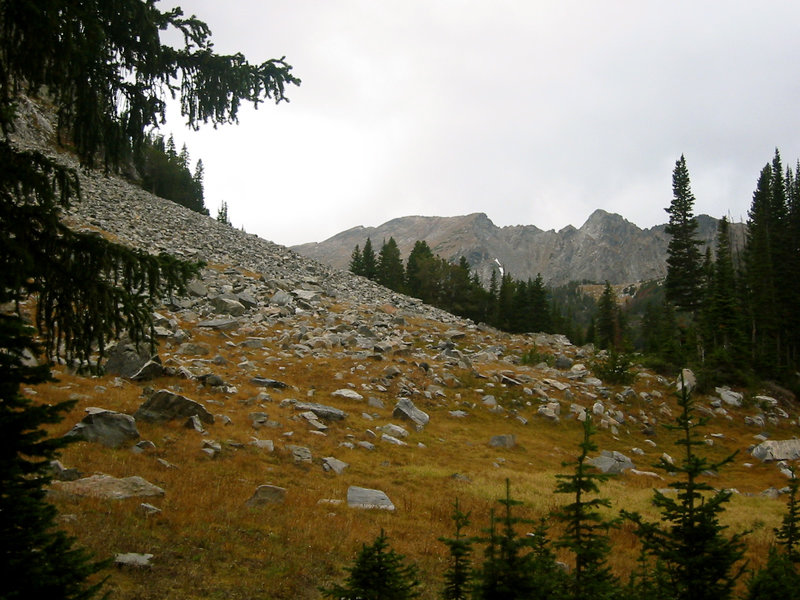 Looking up Hellroaring basin