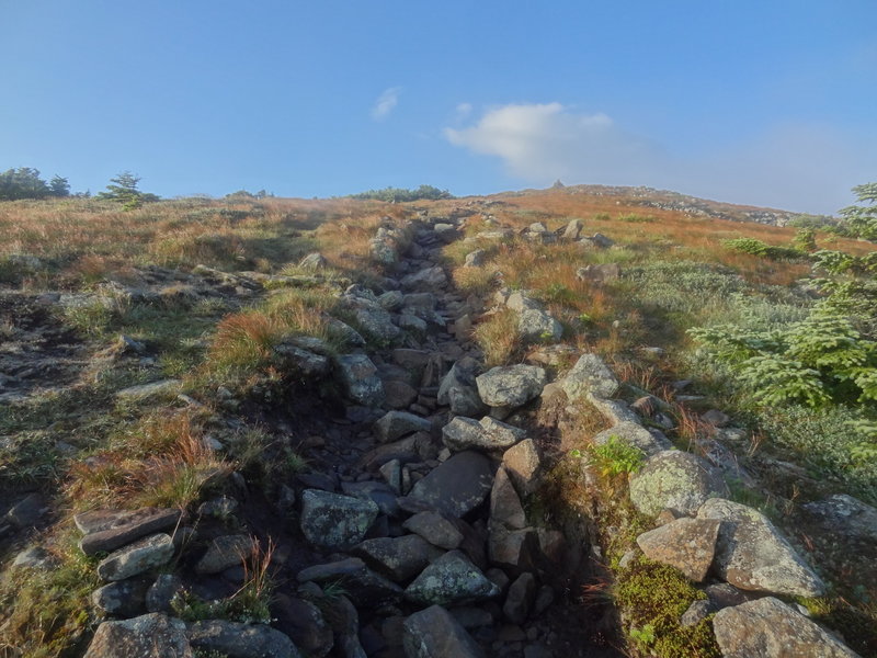 Approaching Moosilauke Summit