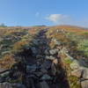 Approaching Moosilauke Summit