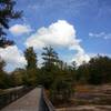 Boardwalk path along Klondike Rd.