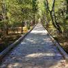 Boardwalk leading to Panola Mtn. Outlook.