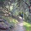 Nice stretch of smooth path on Goodspeed Trail