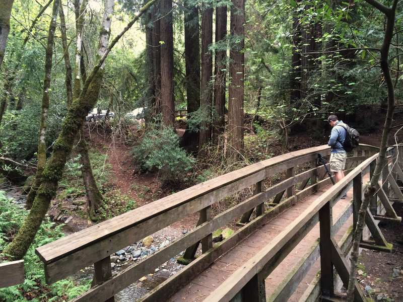 Sonoma Creek bridge and redwoods at trailhead parking lot.