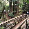 Sonoma Creek bridge and redwoods at trailhead parking lot.