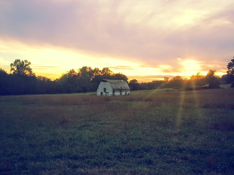 Old barn on Vaughter's Farm.