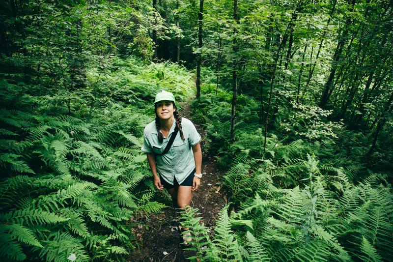 Heading up through the ferns