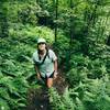 Heading up through the ferns