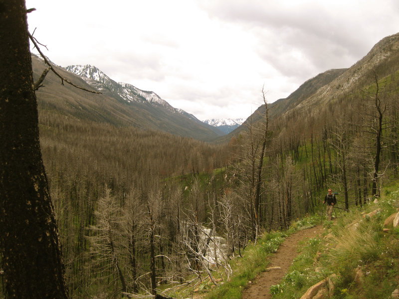 The West Fork of the Boulder River drainage.