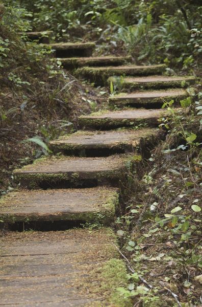 Boardwalk to Cape Alava (by vladeb)