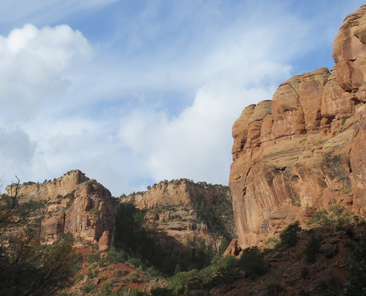 Red sandstone cliff walls line Ladder Canyon