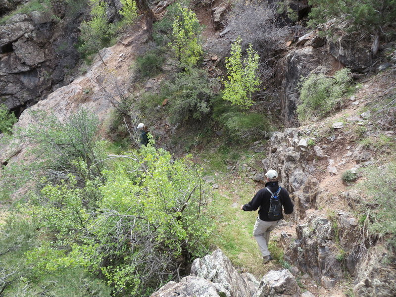 Heading back down the top section of switchbacks. Lower down the switchbacks get rockier and steeper.