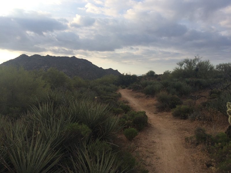 Rolling Singletrack