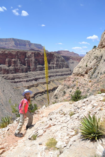 Crossing Horseshoe Mesa on the Grandview Trail