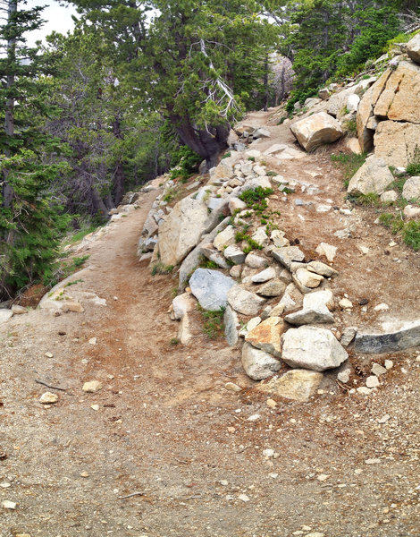 Switchbacks up Beaver Creek.