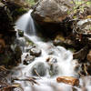 A beautiful stream on Cub Lake Trail!