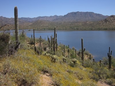 Bartlett Lake in all its glory - from the Palo Verde Trail