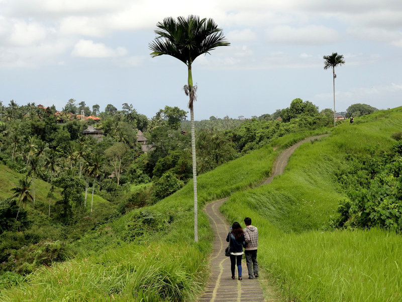 Campuhan Ridge Walk, Ubud, Bali