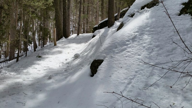 On the trail with a strange curl on the right