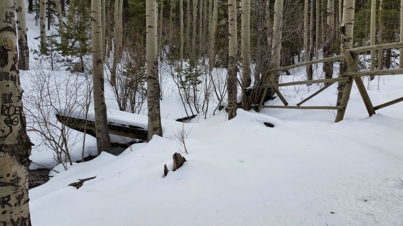 Spring in the Rockies