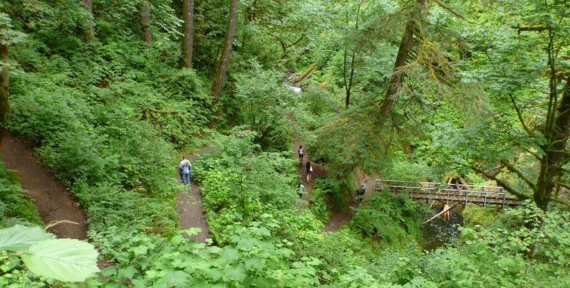 Switchbacks down to Oneonta Creek.