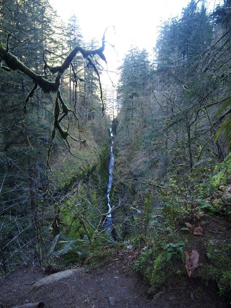 Oneonta Gorge.