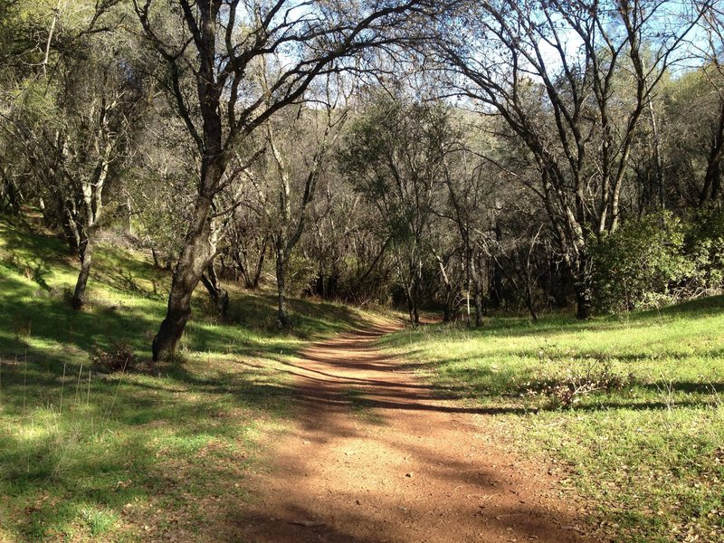 Hidden Falls Park