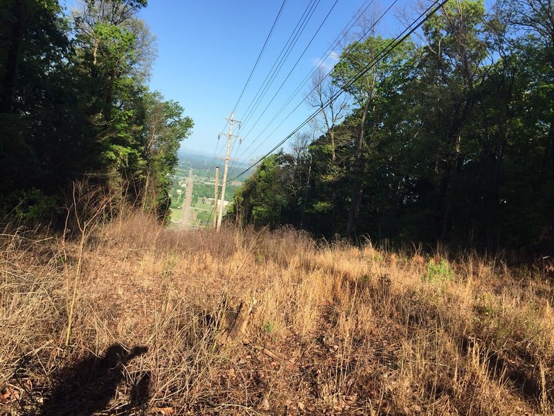 A view of Green Cove Road in South Huntsville - on the Green Mountain Log Road Trail